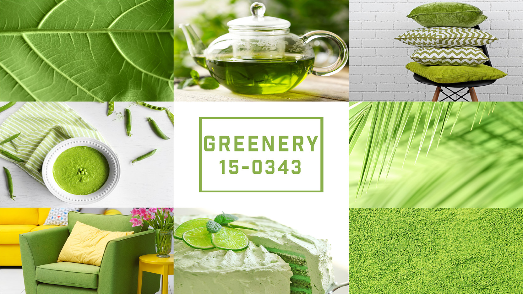 Kom_ls1_h1undteaser Die Farbe der Saison 2017 - Greenery