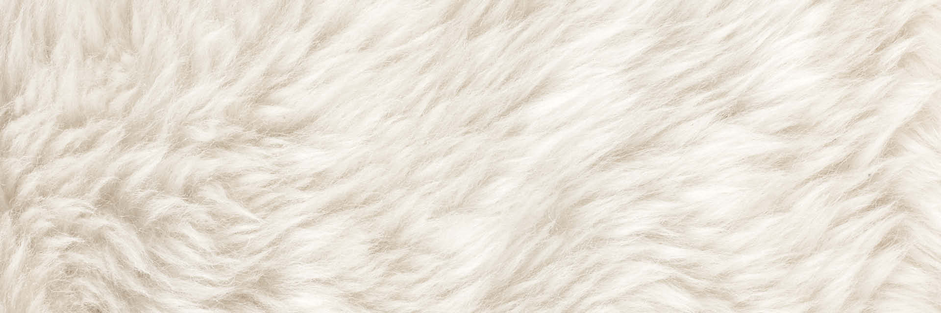 ess_4